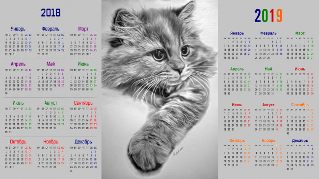 Обои картинки фото календари, рисованные,  векторная графика, взгляд, кошка
