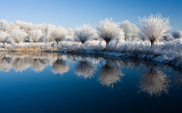 Картинка природа реки озера снег озеро деревья