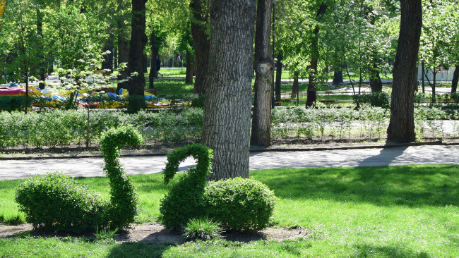 Обои картинки фото разное, садовые и парковые скульптуры, растения, лебедь