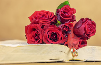 Картинка цветы розы книга лента кольца