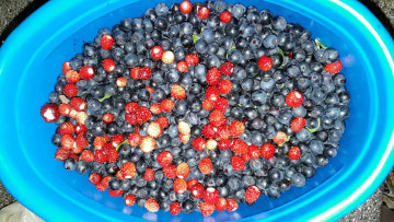 Картинка еда фрукты +ягоды черника земляника