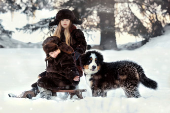 Картинка разное дети санки снег щенок