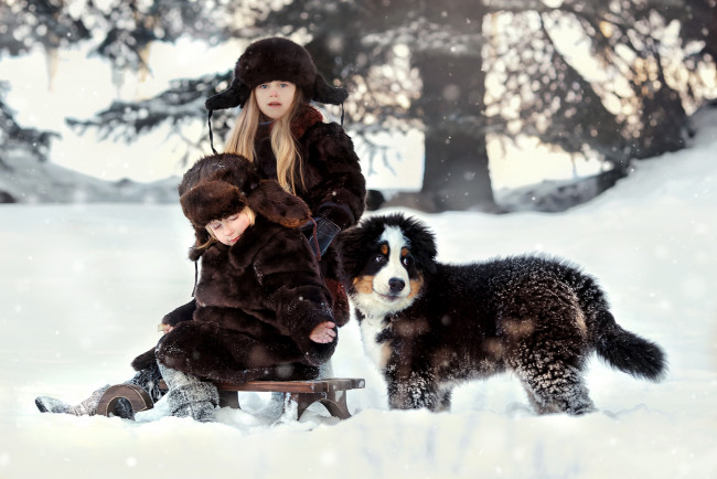 Обои картинки фото разное, дети, санки, снег, щенок
