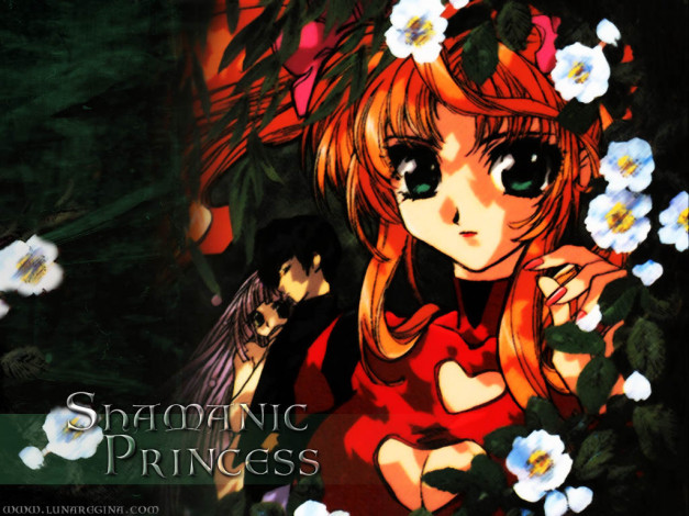 Обои картинки фото shamanic, princess, аниме