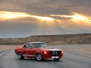 обоя shelby, gt500cr, автомобили, mustang