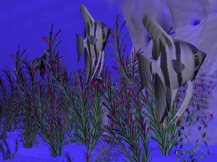 Картинка 3д графика animals животные рыба растения