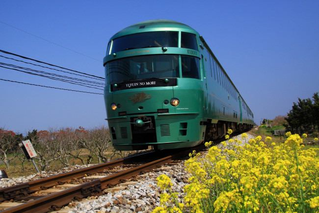 Обои картинки фото техника, поезда, рельсы, цветы