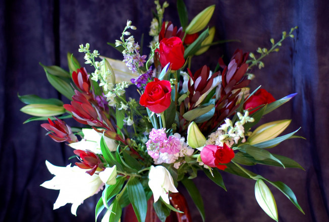Обои картинки фото цветы, букеты, композиции, тюльпаны, лилии, левкой