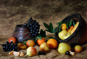 Картинка еда фрукты ягоды яблоки груши апельсины виноград сливы