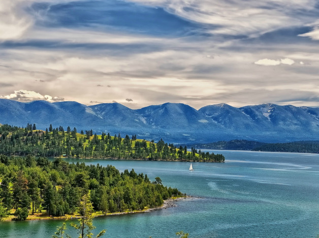 Обои картинки фото flathead, lake, montana, природа, реки, озера, монтана, озеро, пейзаж, яхта, горы, деревья