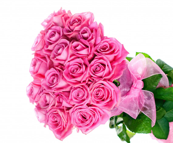 Обои картинки фото цветы, розы, бант, много, розовый, лента