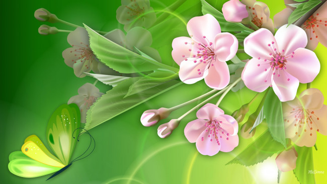 Обои картинки фото рисованные, цветы, ветка, лепестки, бабочка