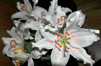 Картинка цветы лилии +лилейники букет белые