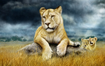 обоя рисованное, животные,  львы, львица, львята, саванна, семья