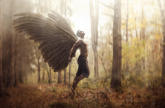Обои картинки фото фэнтези, фотоарт, лес, меч, мускулы, торс, ангел, крылья, мужчина