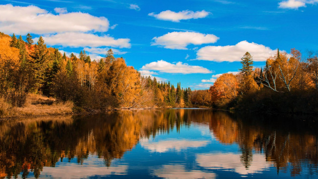 Обои картинки фото magnetawan river, ontario, природа, реки, озера, magnetawan, river