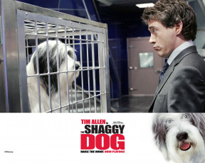 обоя кино, фильмы, the, shaggy, dog