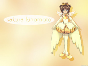 Картинка аниме card captor sakura