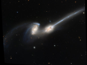 Картинка ngc 4676 космос галактики туманности