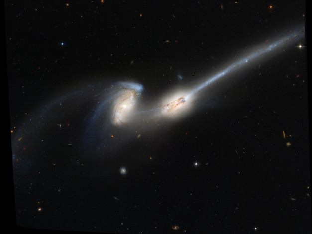 Обои картинки фото ngc, 4676, космос, галактики, туманности