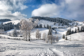 Картинка природа зима румыния fundata брашов