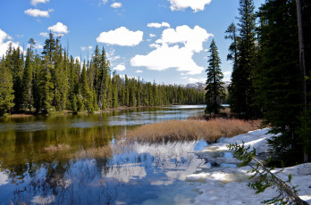 Картинка природа реки озера небо отражение облака снег деревья лес