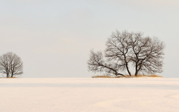 Картинка природа зима снег поле деревья