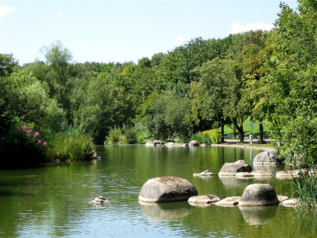Обои картинки фото природа, парк, germany, westpark, muenchen