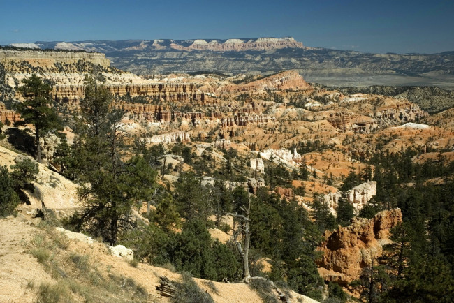 Обои картинки фото природа, горы, bryce, canyon, national, park, usa, utah