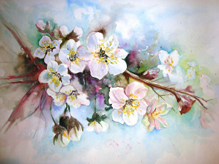 Картинка рисованные цветы акварель весна