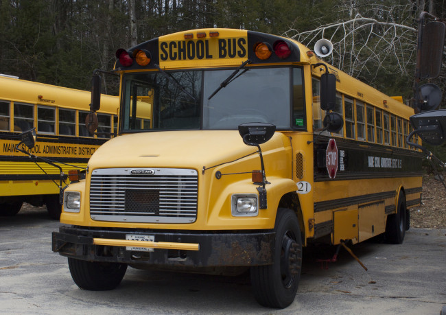 Обои картинки фото автомобили, автобусы, автобус, школьный