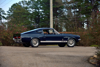 обоя автомобили, mustang, shelby