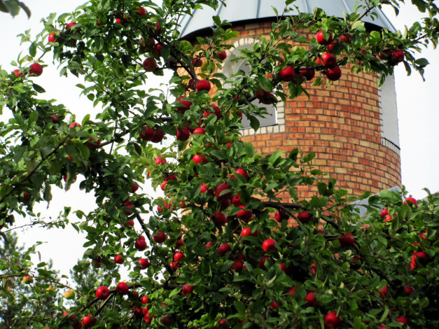 Обои картинки фото природа, плоды, башенка, яблоки