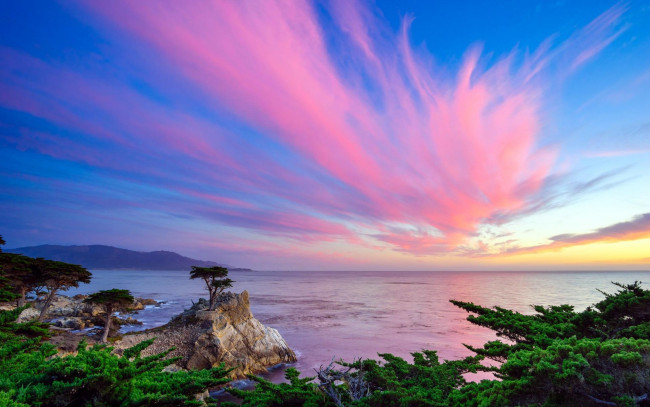 Обои картинки фото природа, побережье, небо, закат, скалы, берег, море, облако, деревья