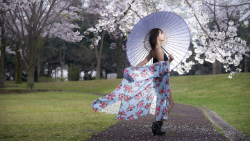 Картинка девушки -unsort+ азиатки зонт весна девушка