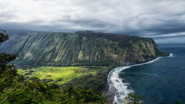 Картинка природа побережье океан скала гавайи утес сша waipio valley