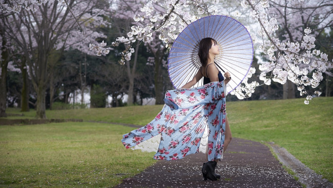 Обои картинки фото девушки, -unsort , азиатки, зонт, весна, девушка