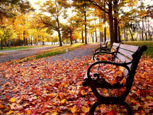 Картинка природа парк скамейка листва листопад осень аллея