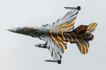Картинка general+dynamics+f-16am+fighting+falcon авиация боевые+самолёты ввс