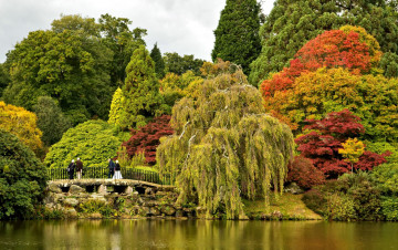 Картинка природа парк мостик водоем осень деревья