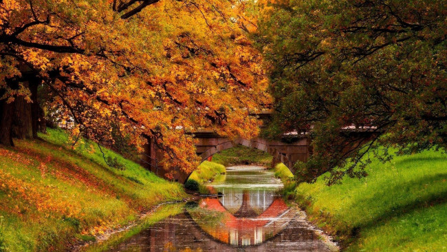 Обои картинки фото природа, парк, водоем, осень, мостик