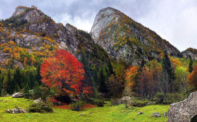 Обои картинки фото природа, горы, осень