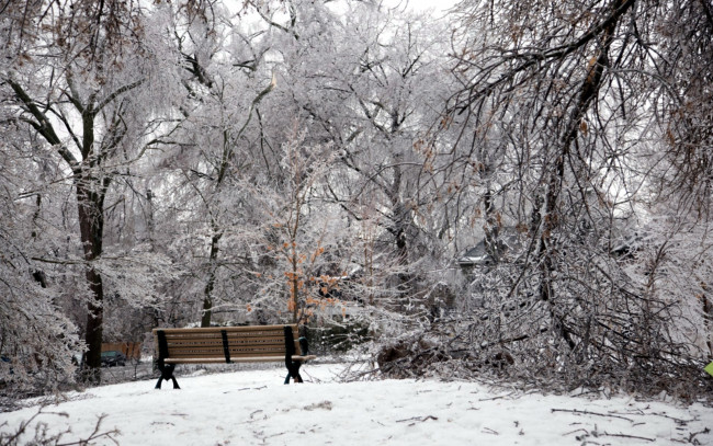 Обои картинки фото природа, зима, парк, снег, скамейка