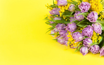 Картинка цветы разные+вместе желтый фон букет тюльпаны мимоза