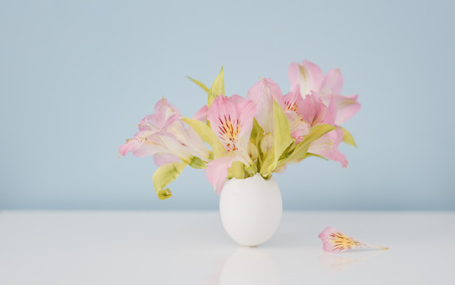 Обои картинки фото цветы, альстромерия, стол, букет, белая, ваза