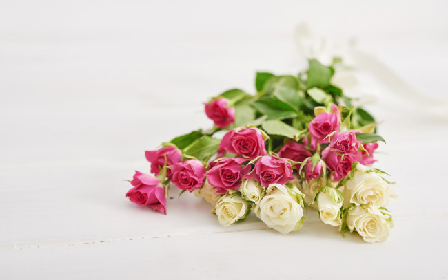 Обои картинки фото цветы, розы, букет, розовые, белые