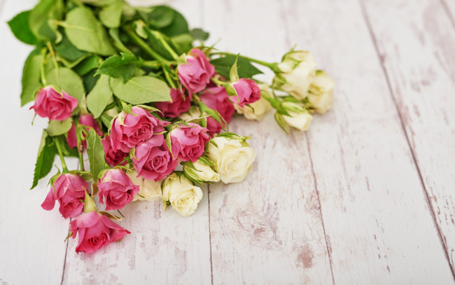 Обои картинки фото цветы, розы, wood, bouguet