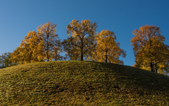 Обои картинки фото природа, деревья, холм, осень