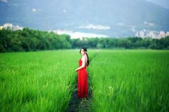 Картинка девушки -+азиатки азиатка поле красное платье