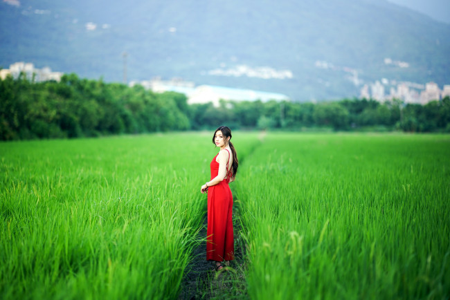 Обои картинки фото девушки, - азиатки, азиатка, поле, красное, платье